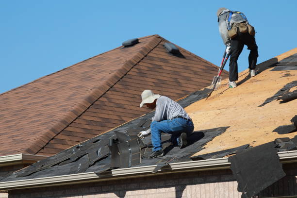 Best Roof Moss and Algae Removal  in Venice, FL