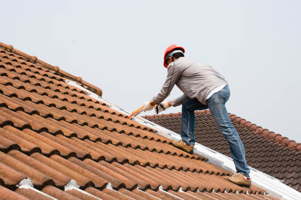 Best Roof Ventilation Installation  in Venice, FL