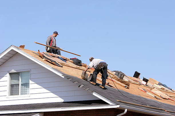 Best Slate Roofing  in Venice, FL